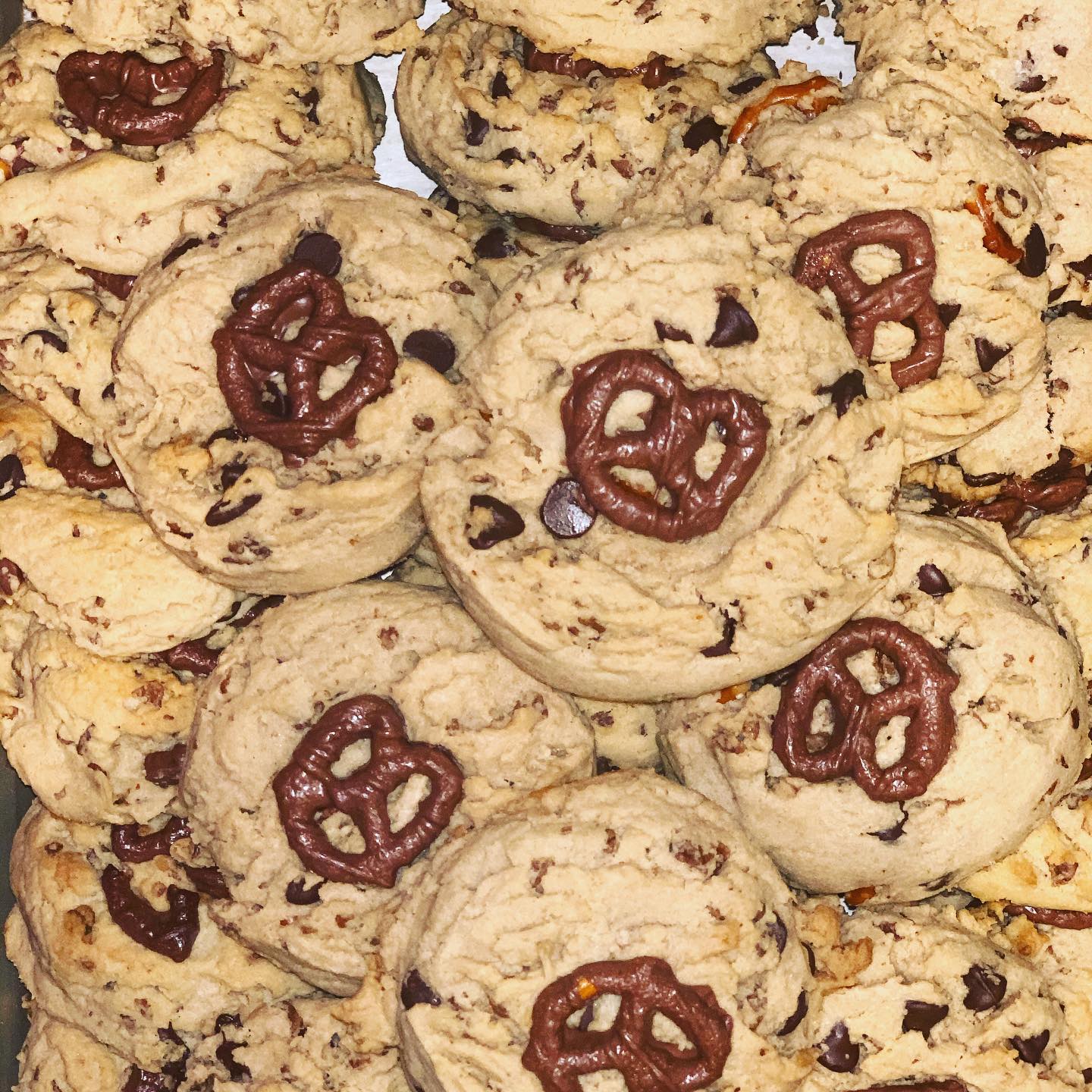 Molly Bz cookie Cub