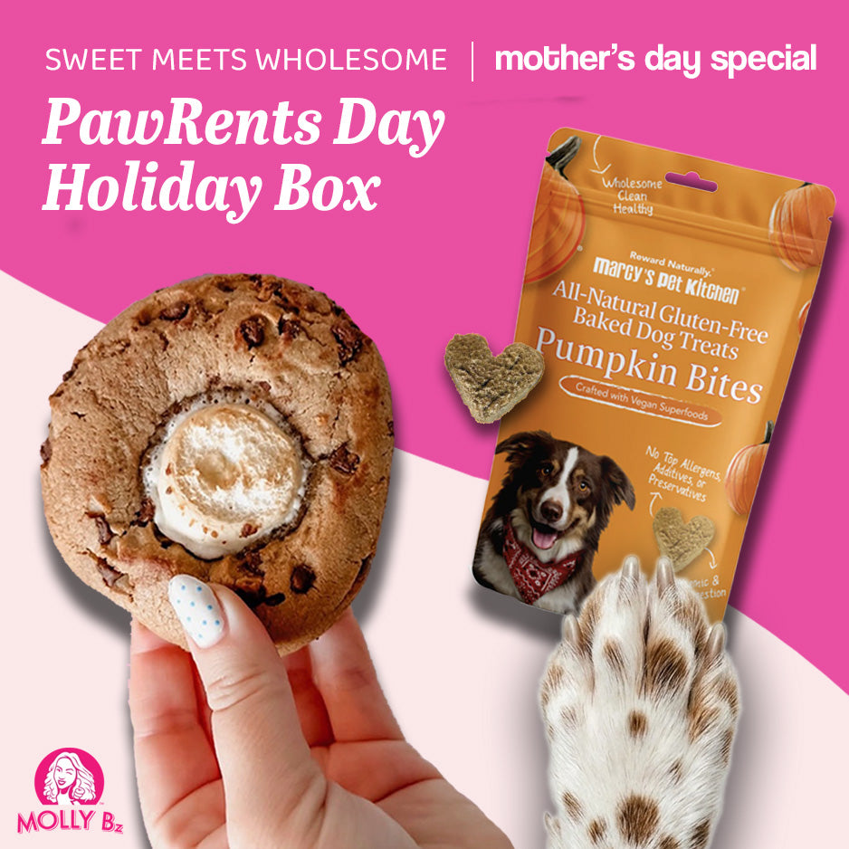 PawRents Day Holiday Box